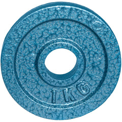 DISCO ESTÁNDAR HAMMERTONE GRIS EVOLUTION