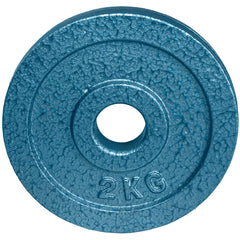 DISCO ESTÁNDAR HAMMERTONE GRIS EVOLUTION