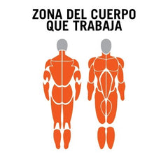 Multigimnasio Evo 3000 Plus