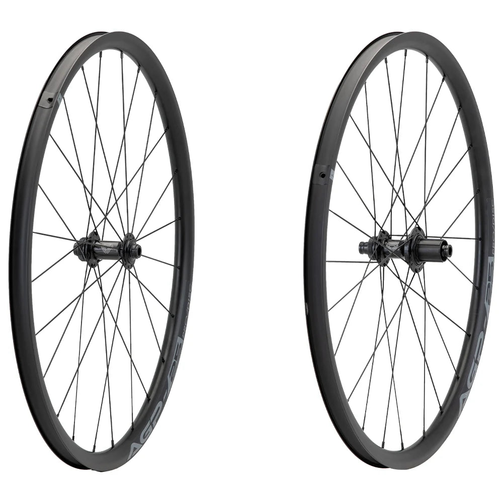Ruedas Gravel 700C 24H AGP-25 Pro/Disc