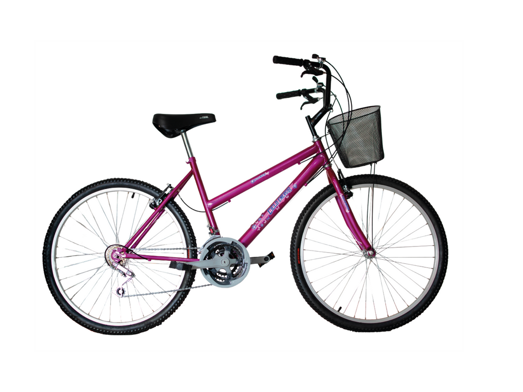 BICICLETA NACIONAL 26/24 CON CAMBIO PLAYERA